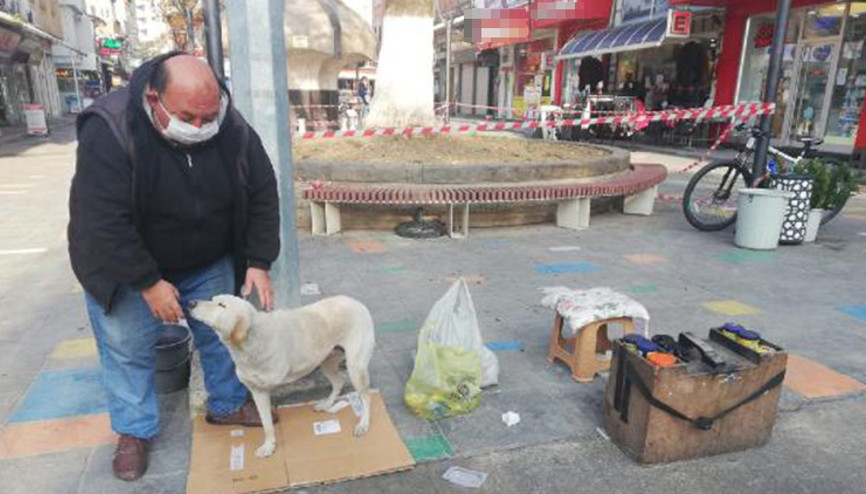 Sahiplendiği engelli köpeği yanından ayırmıyor