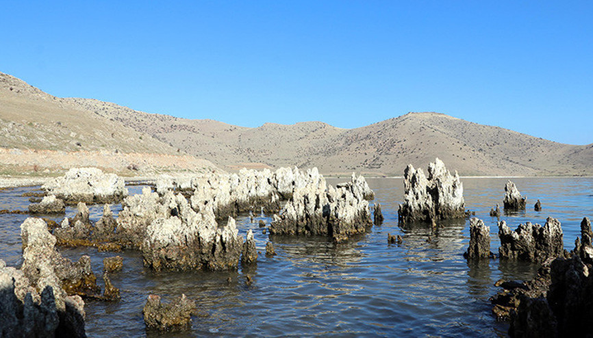 Son dakika: Her santimi yüzlerce yılda oluşuyor Van Gölünde ortaya çıktı