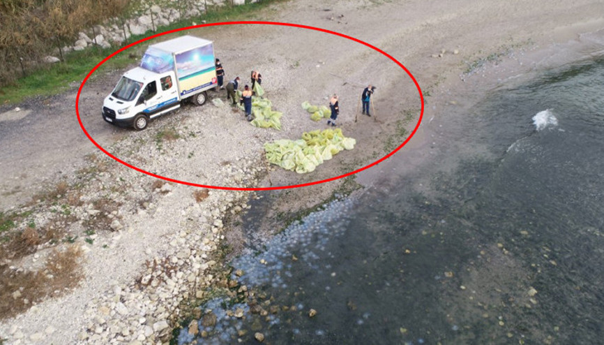 Avcılarda şok görüntü Tam 10 ton topladılar Dev gibiler, çoğu 1 kilogram...