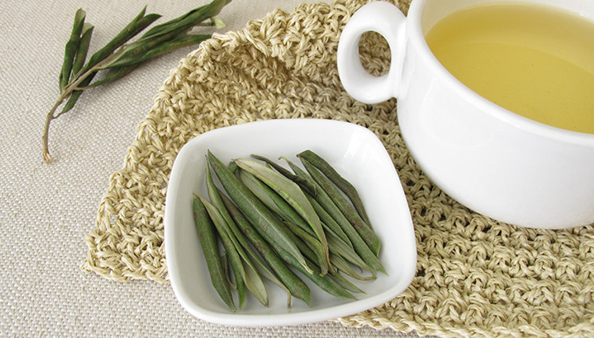 Zeytin yaprağı çayı virüslere karşı korur mu  Zeytin yaprağı çayının faydaları nelerdir