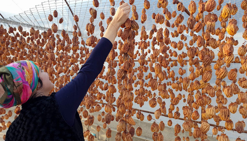 Kimse yüzüne bakmıyordu Kilogram fiyatı 100 TLye dayandı...
