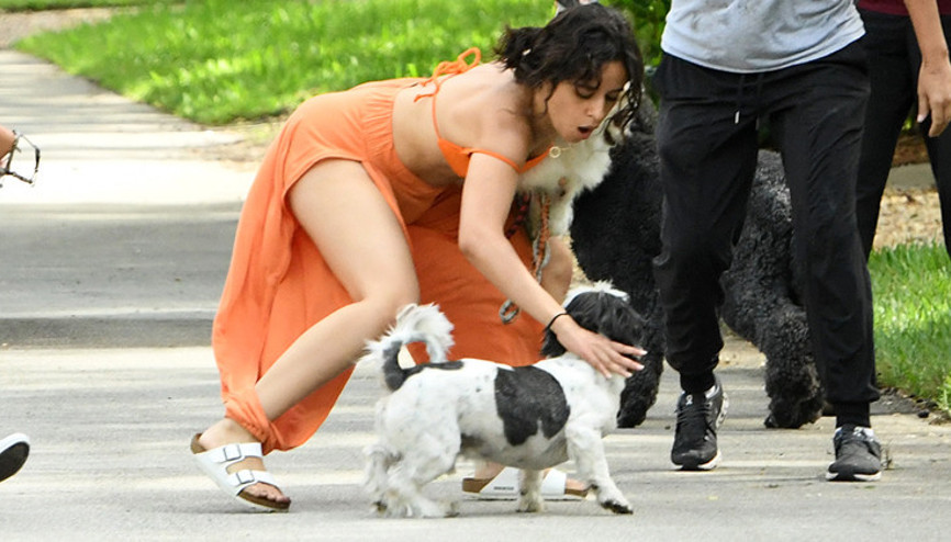 Bütün köpekleri sevdi