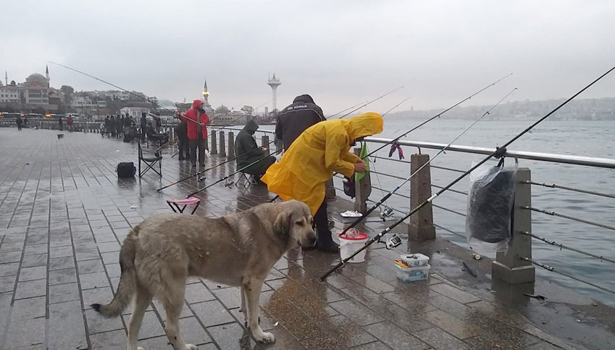 Balık tutmak yasaklandı mı İçişleri Bakanlığından olta balıkçılığıyla ilgili yeni genelge
