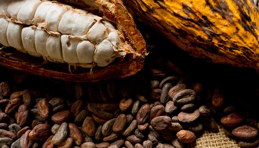 Araştırmalarla kanıtlandı Beynin dostu ve düşmanı besinler...