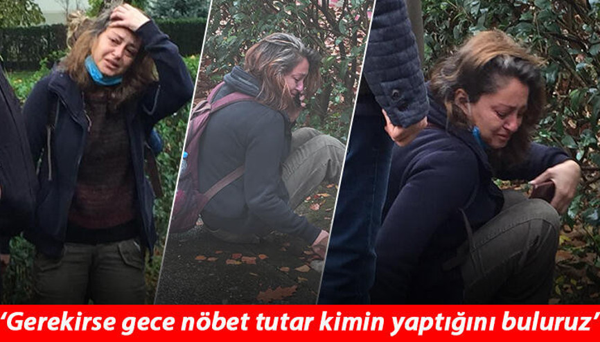Sokak köpekleri uyuşturucu iğneyle telef edildi iddiası