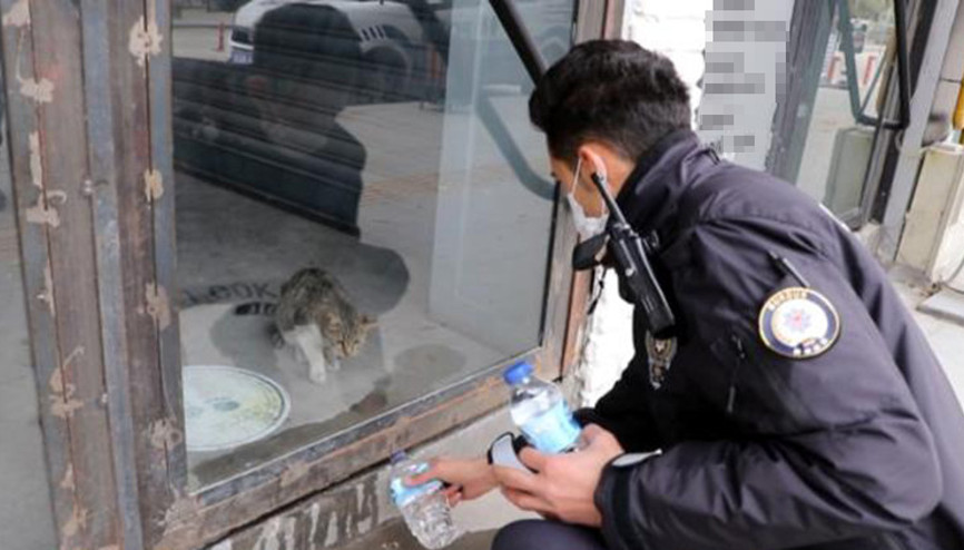 Kafede mahsur kalan kediye, polisin su içirme çabası kamerada