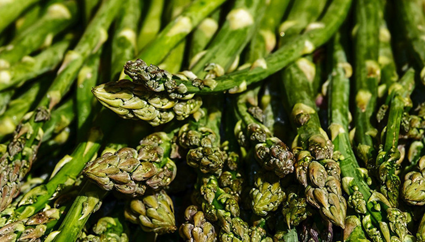 Karaciğer yağlanmasına dikkat Bu besinler karaciğer sağlığını koruyor