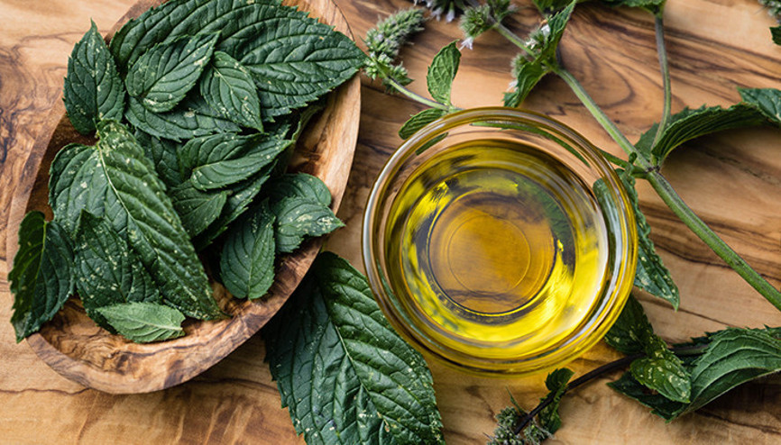 Koronayla Mücadelede Doğal Antibiyotik; Günde 3 Kez Tüketilebilir