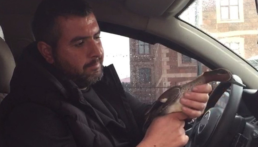 Bulduğu yaralı yaban ördeğini sahiplendi