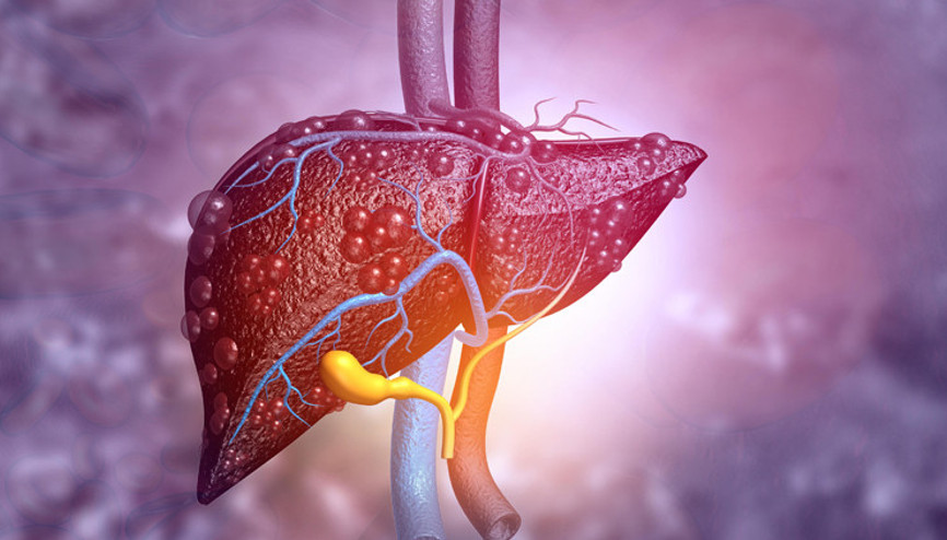 Virüs ve ilaç zehirlenmeleri karaciğer yetmezliğine neden oluyor