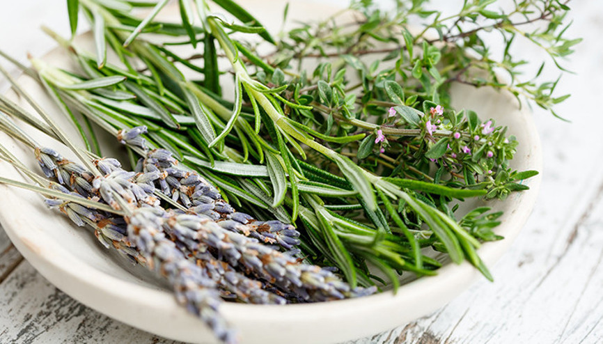 Dikkatimizi artırmaya yarayan 4 özel koku