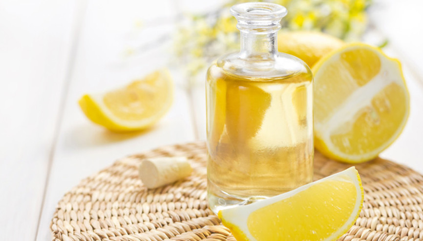 Virüslere Karşı Koruma Sağlayan Antiviral Bitkiler