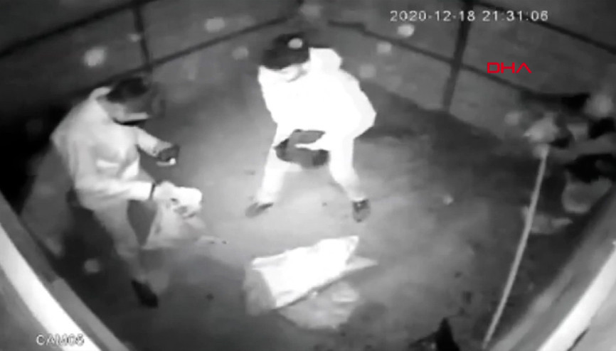 Kümese giren hırsızların, tavukları çuvala doldurup kaçması kamerada