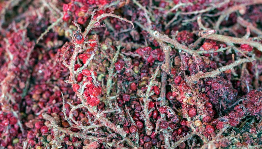 Sumağın Sağlığa Faydaları ve Kullanım Alanları