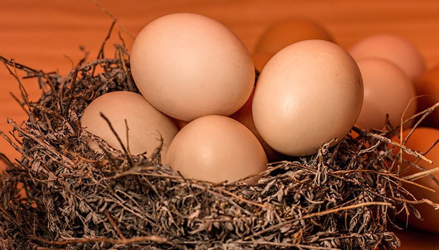 Doğru yumurta seçimi nasıl yapılır Doğru yumurta seçimi nasıl yapılır