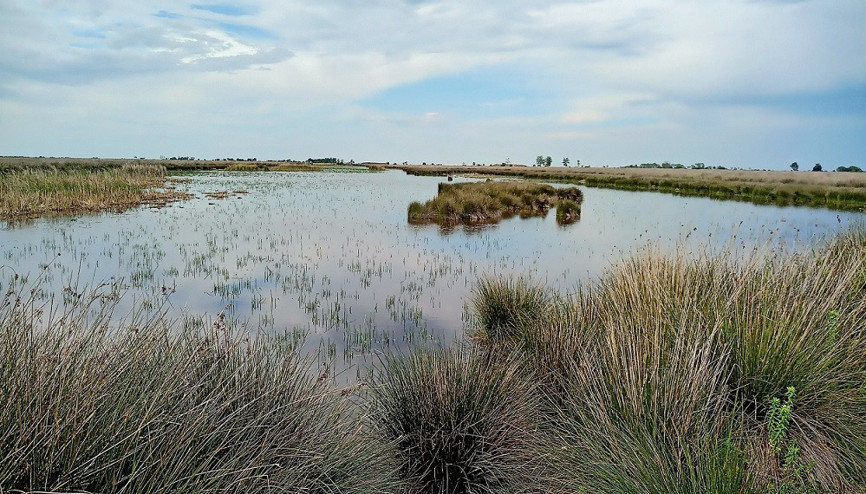 Kuş Cenneti fotoğraf tutkunlarını bekliyor
