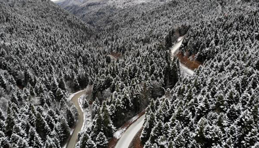 Yedigöller Milli Parkı yolu ulaşıma kapatıldı