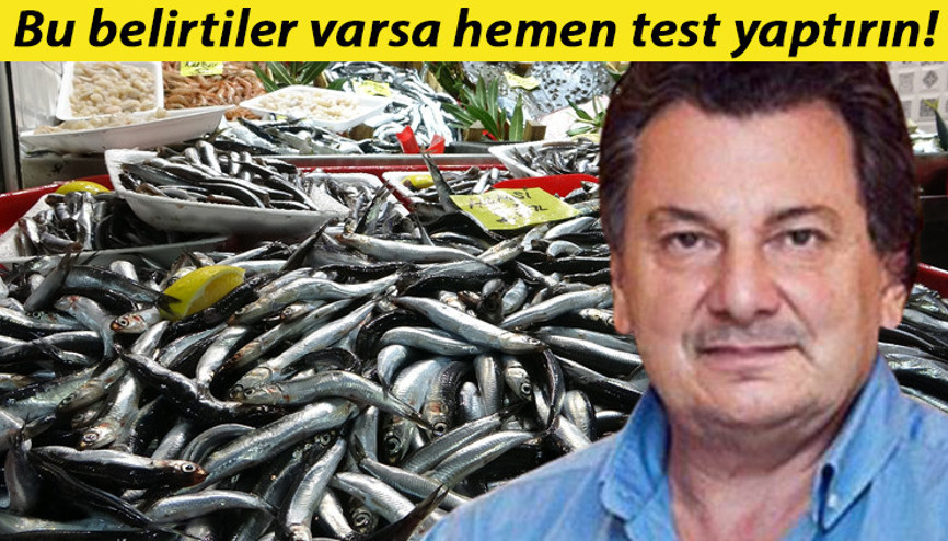 Son dakika haberleri... Cıva tehlikesine dikkat Bu belirtiler varsa test yaptırın... Vedat Milor uyardı: Midye yemek, pil yemek gibidir Son dakika haberleri... Cıva tehlikesine dikkat Bu belirtiler varsa test yaptırın... Vedat Milor uyardı: Midye yemek, pil yemek gibidir