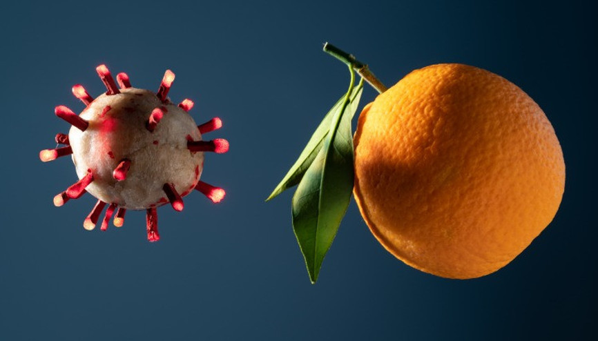 C Vitamini, Mide Kanserini Önlüyor mu