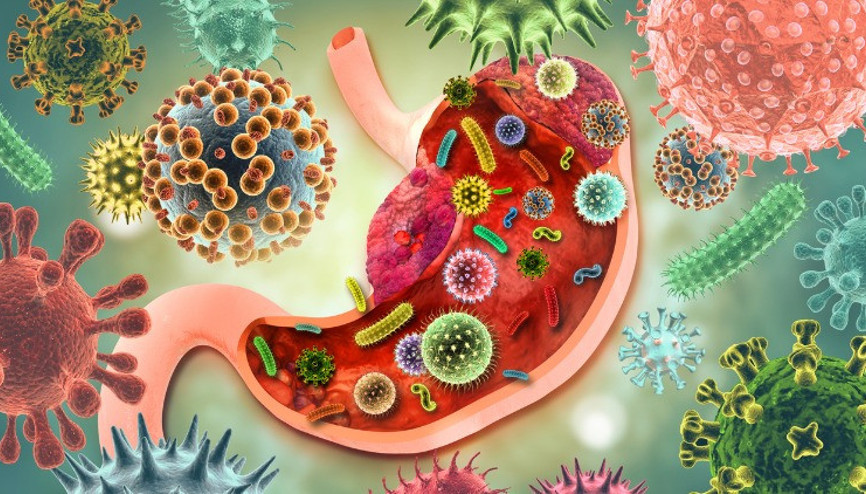 Koronavirüs Sindirim Sistemini de Vuruyor İşte Etkileri...