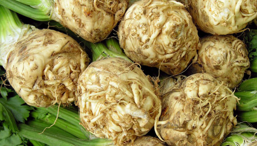 Beslenmenizden eksik etmeyin Kerevizin faydaları saymakla bitmiyor