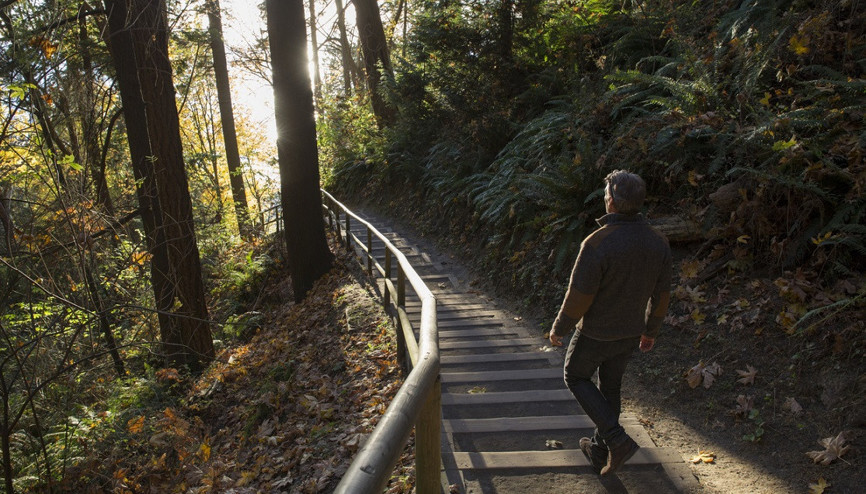 Kısıtlama sonrası gidilecek İstanbulun yanı başındaki yürüyüş rotaları