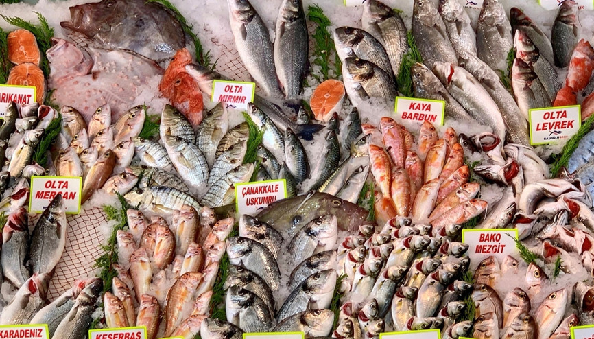 Deniz balıklarında büyük tehlike Her lokmada plastik yiyoruz