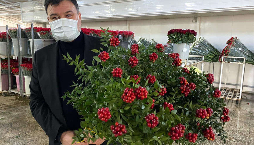 Yılbaşı çiçeği kokinaya yoğun talep