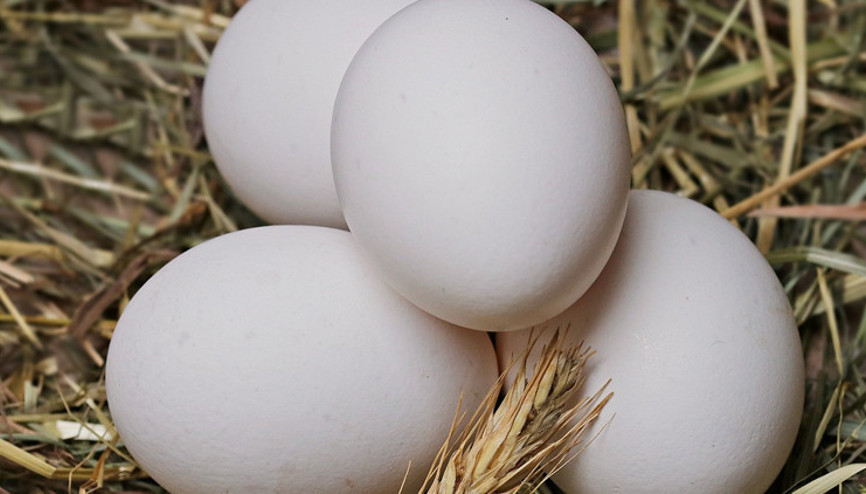 Fazla para verip bu tuzağa düşmeyin Organik yumurtayı anlamak için… Fazla para verip bu tuzağa düşmeyin Organik yumurtayı anlamak için…