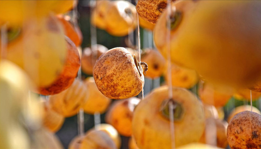 Cennet hurması, üreticiyi sevindirdi