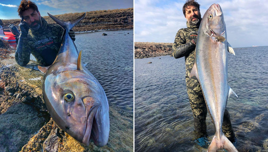 Çanakkale’de yakalayınca şaştı kaldı: ‘Bu balığın burada olması çok ilginç’