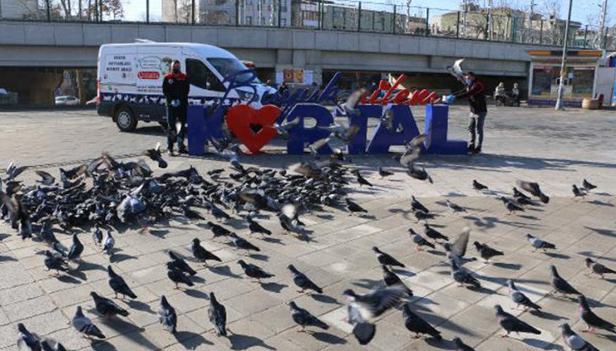 Kartal Belediyesi, 4 günlük kısıtlamada sokak hayvanlarını unutmadı Kartal Belediyesi, 4 günlük kısıtlamada sokak hayvanlarını unutmadı
