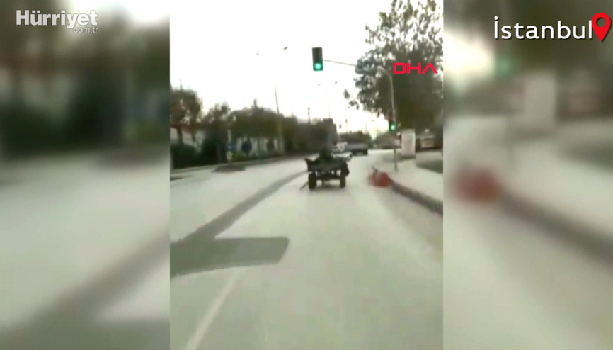 Başakşehirde başıboş kaçan at ortalığı birbirine kattı