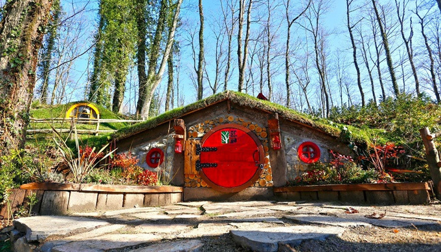 Avrupanın en büyük doğal yaşam parkı: Ormanya