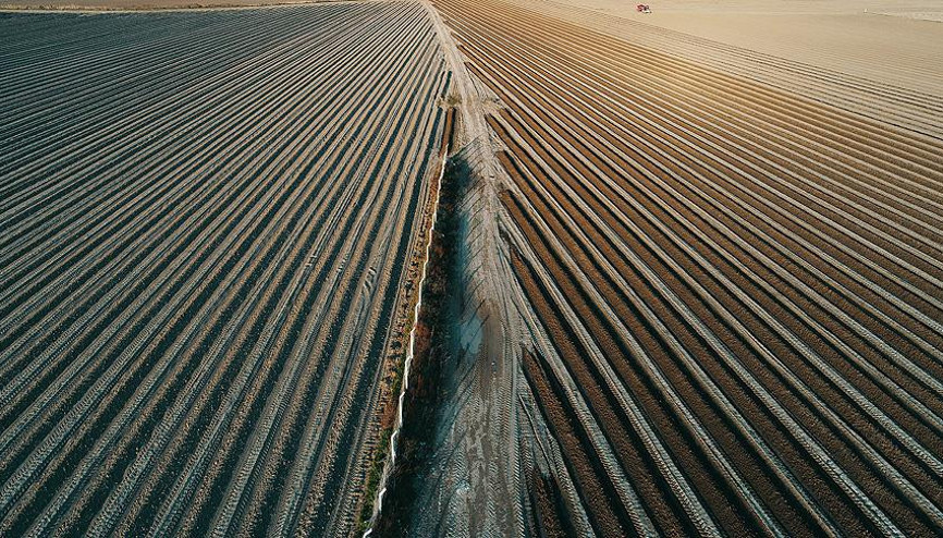 Stratejik tarım ürünleri geçen yılı verim artışıyla kapattı