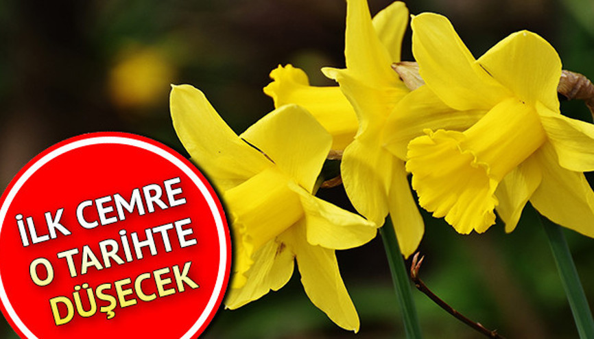İlk cemre ne zaman düşecek İşte 2021 birinci cemre düşme tarihi İlk cemre ne zaman düşecek İşte 2021 birinci cemre düşme tarihi