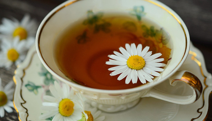 Ağrıları kesiyor, stresi azaltıyor... Papatya çay tam bir şifa kaynağı
