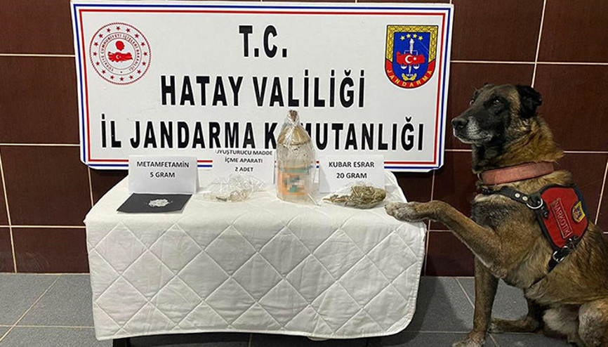 Uyuşturucuyu Cesur buldu Uyuşturucuyu Cesur buldu