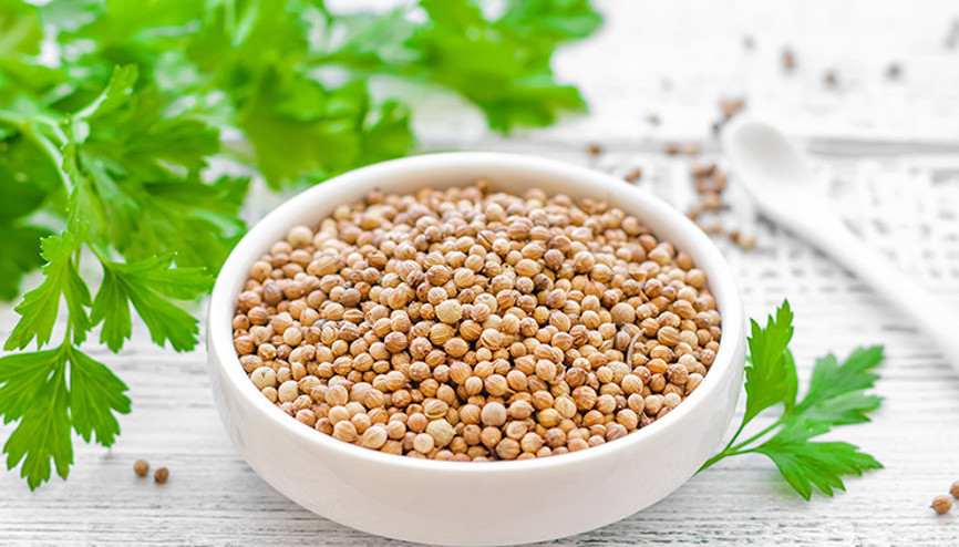 Kişnişin faydaları nelerdir Kişniş nasıl kullanılır Kişnişin faydaları nelerdir Kişniş nasıl kullanılır