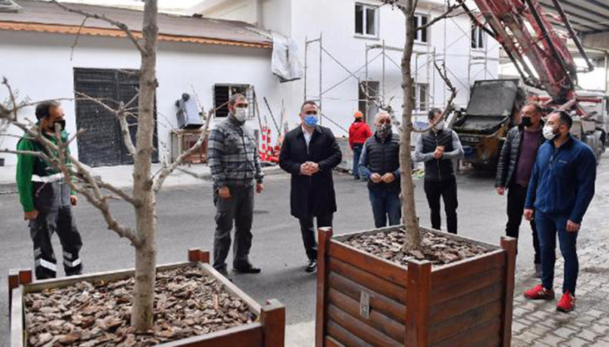 Beyoğlu’nda budanan ağaç dalları ihtiyaç sahiplerine yakacak oluyor