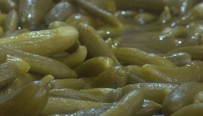 Pandemide turşuya talep arttı... En çok ilgi görenler ise lahana ve salatalık turşusu