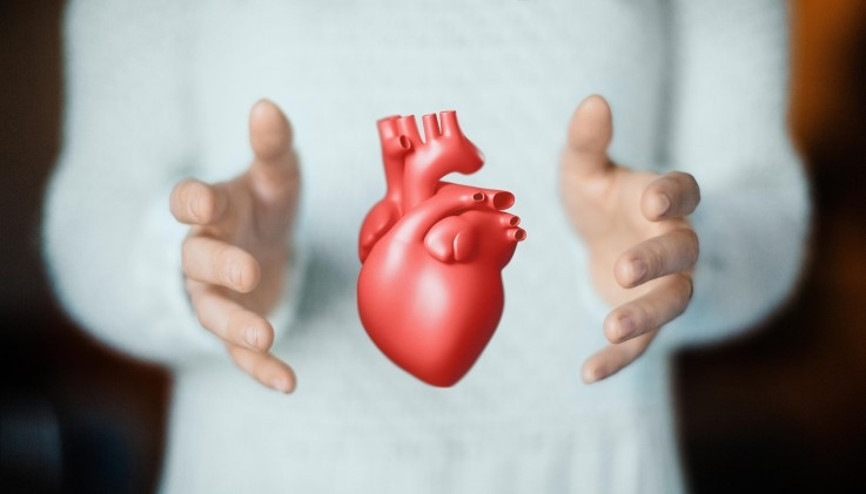 Mitral Kapak Tedavisi Nedir, Nasıl Yapılır