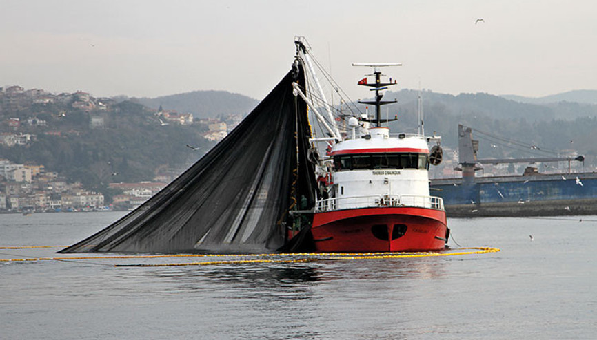 Uzmanlar Boğaz için uyardı Lüfer de kaçacak Uzmanlar Boğaz için uyardı Lüfer de kaçacak