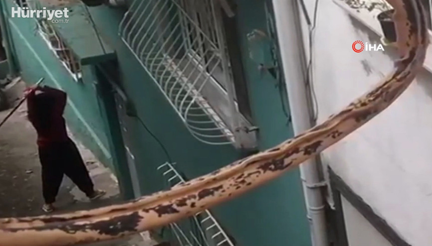 Çaydanlıkla polise direnen kadın serbest kalınca komşularına saldırdı