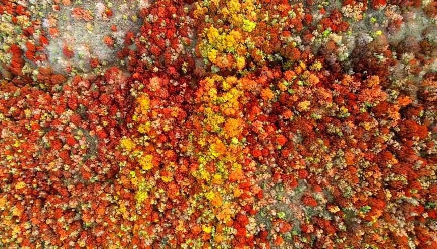 Doğa severler için alternatif bir keşif rotası: Boyabat, Durağan ve Ayancık Doğa severler için alternatif bir keşif rotası: Boyabat, Durağan ve Ayancık