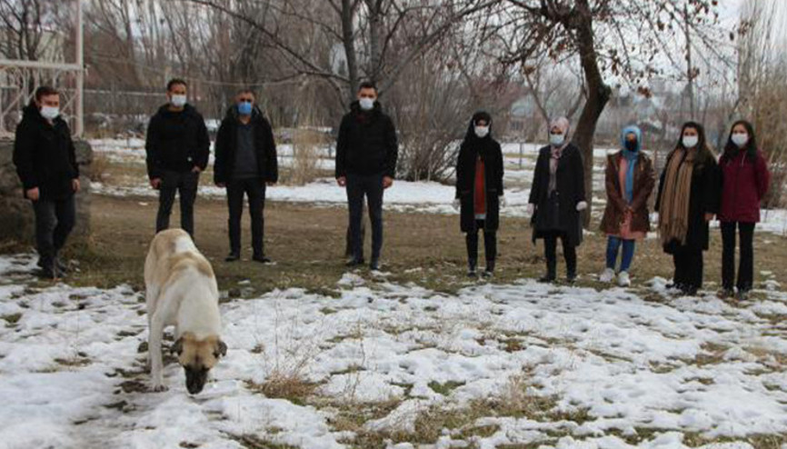 Vartoda öğretmenler her gün sokak hayvanlarına yem ve su bırakıyor Vartoda öğretmenler her gün sokak hayvanlarına yem ve su bırakıyor