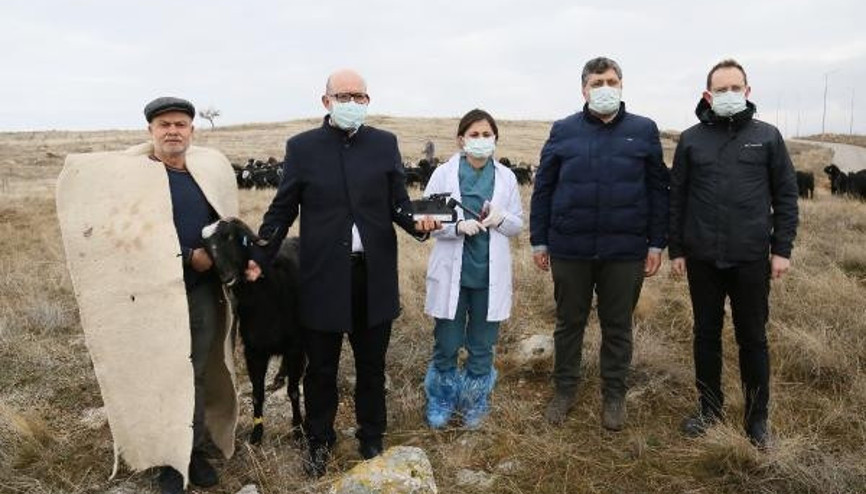 Hayvanları ölümden kurtaracak mobil mikroskop geliştirildi