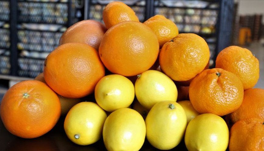 Türk narenciyesini 2020de en çok Ruslar tüketti