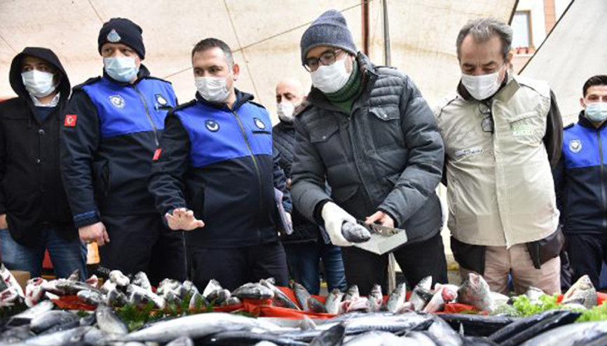 Tuzla’da balık tezgahlarına hamsi boyu denetimi