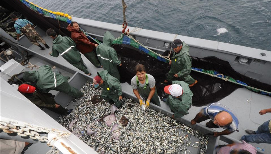 Son dakika...Tarım ve Orman Bakanlığı duyurdu Hamside av yasağı uzatıldı